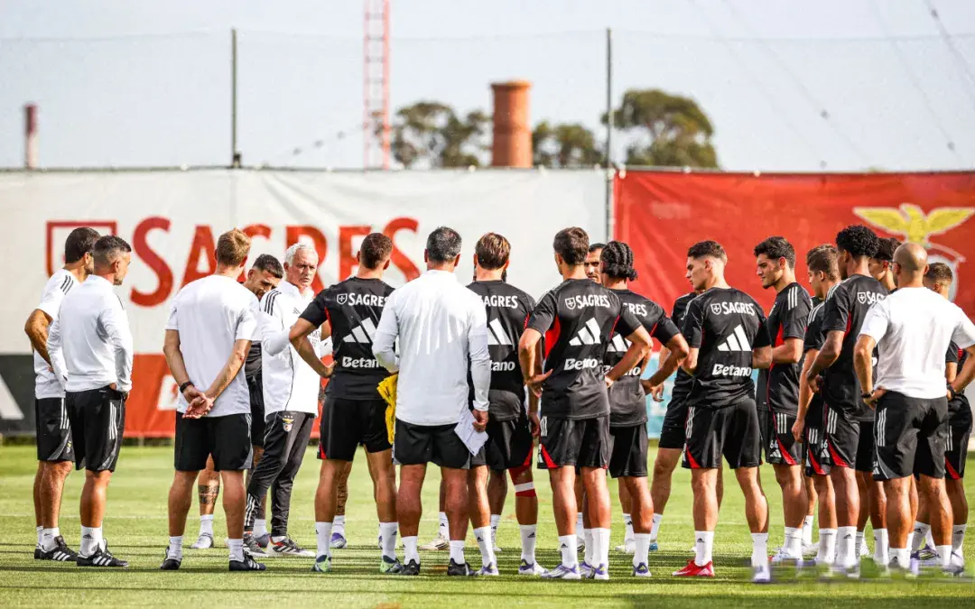 本菲卡俱乐, amp 本菲卡俱乐, amp